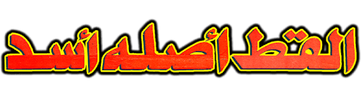 القط اصله اسد
