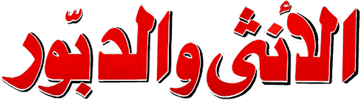 الأنثى والدبور