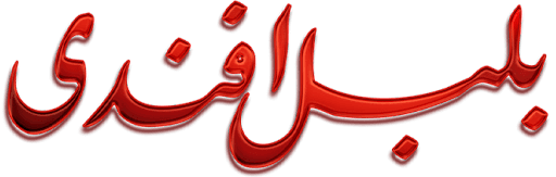 Bulbul Affendi