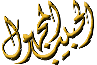 Elhabib Elmaghool